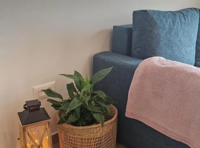 Apartment Duje Toni Makarska